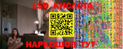 ALPHA PVP Канаш