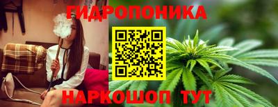 марихуана Кандалакша