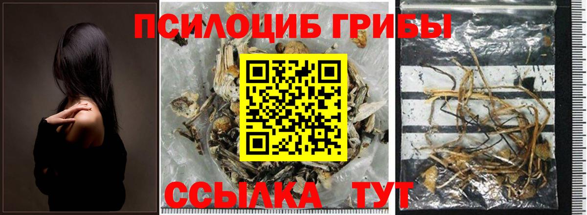 закладки  Галлюциногенные грибы Cubensis  Вход с VPN  Благовещенск  Псилоцибиновые грибы мухоморы 